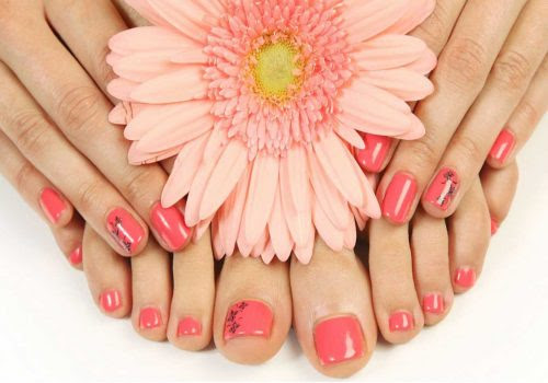 El, Ayak, Tırnak Bakımı Fiyatları & Modelleri