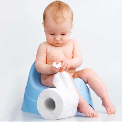 Tuvalet Eğitimi Fiyatları & Modelleri