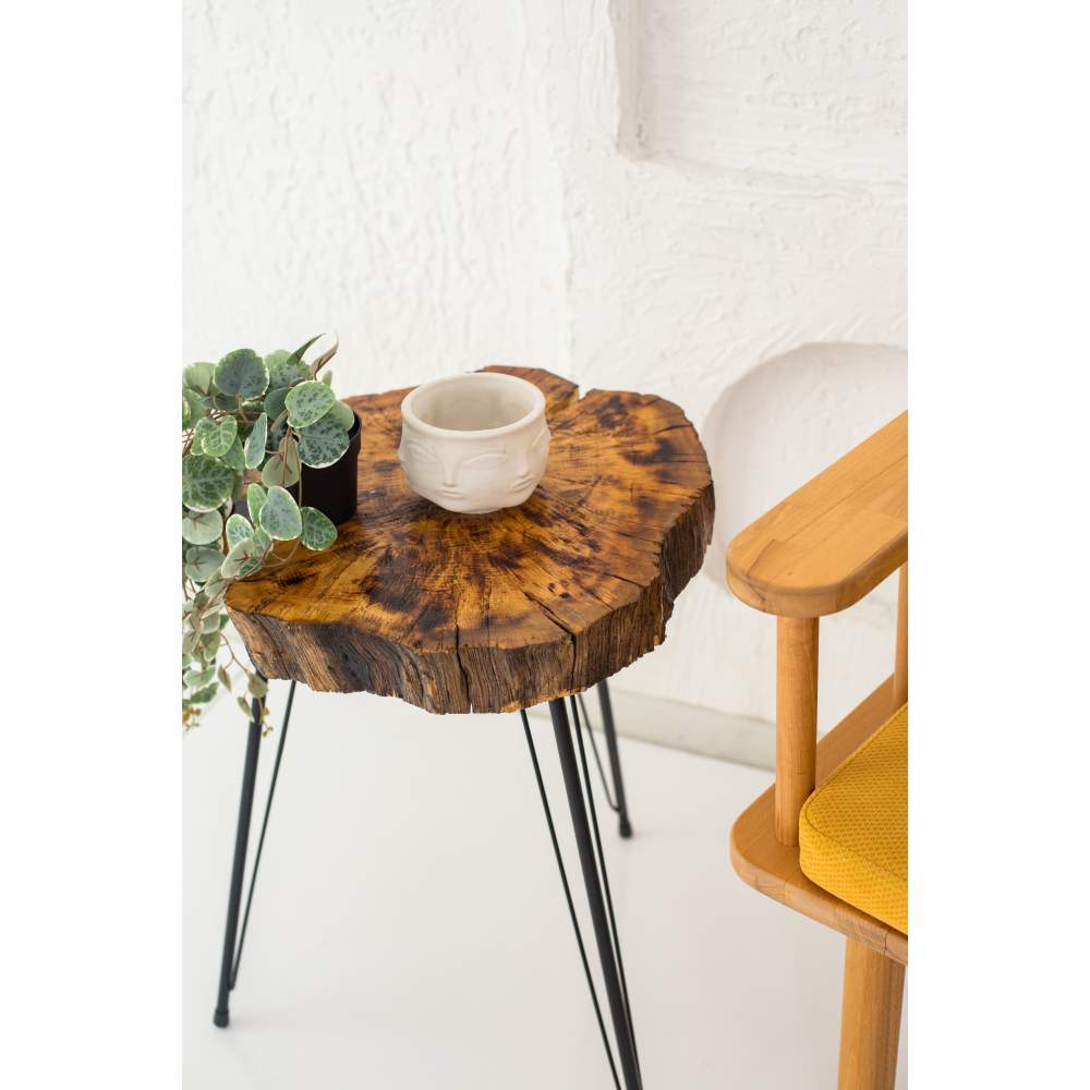 Decor Ideas Kütük Doğal Sehpa Decor Ideas Kütük Doğal Sehpa