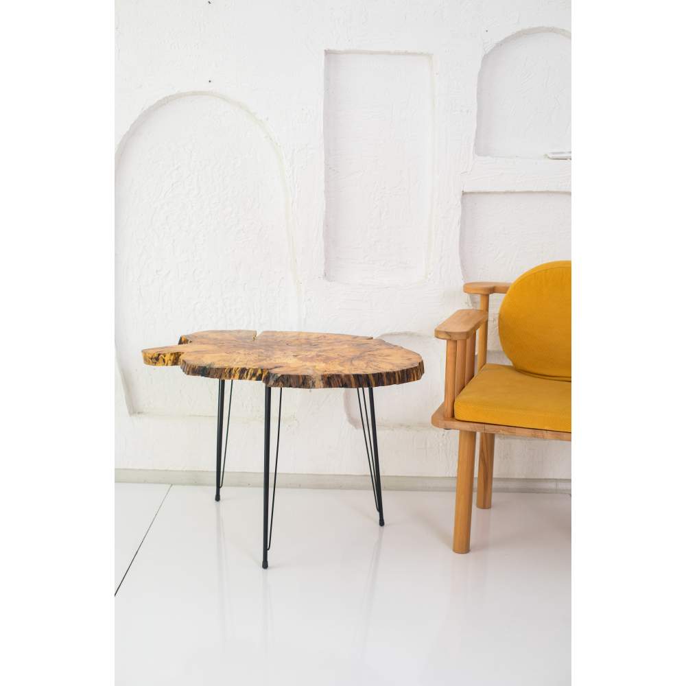 Decor Ideas Kütük Doğal Sehpa Decor Ideas Kütük Doğal Sehpa