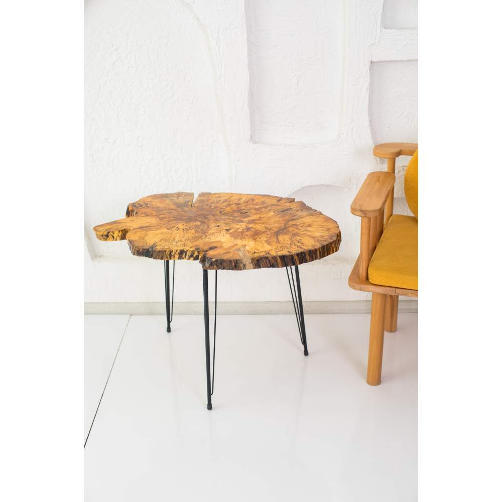 Decor Ideas Kütük Doğal Sehpa Decor Ideas Kütük Doğal Sehpa