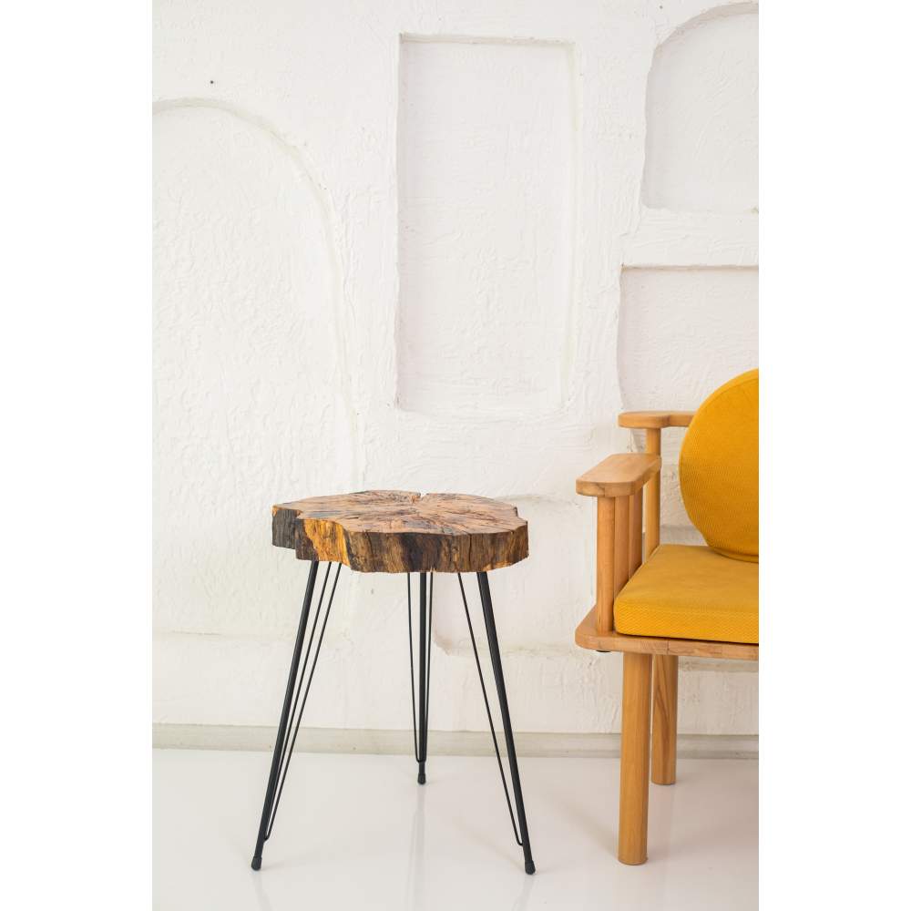 Decor Ideas Kütük Doğal Sehpa Decor Ideas Kütük Doğal Sehpa