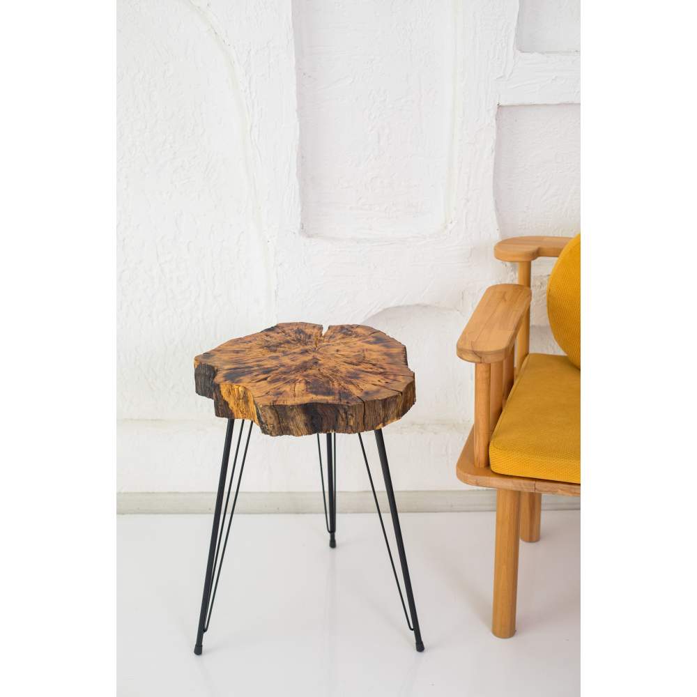 Decor Ideas Kütük Doğal Sehpa Decor Ideas Kütük Doğal Sehpa