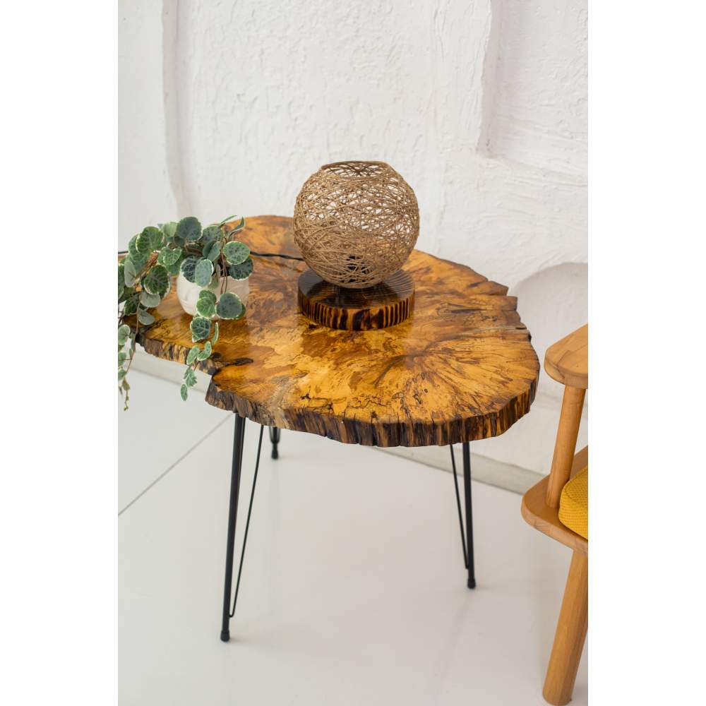 Decor Ideas Kütük Doğal Sehpa Decor Ideas Kütük Doğal Sehpa