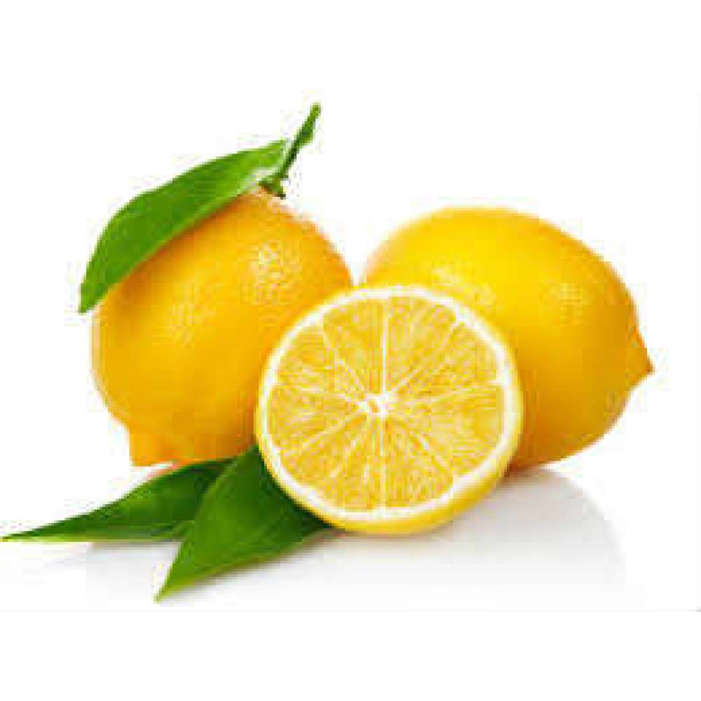 Limon Bonesi / 500 Adet / Bitki Çayı Bonesi Limon Bonesi / 500 Adet / Bitki Çayı Bonesi
