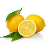 Limon Bonesi / 500 Adet / Bitki Çayı Bonesi Limon Bonesi / 500 Adet / Bitki Çayı Bonesi