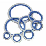 O-Ringli Süper Pul R 2 inç (Lisinya)