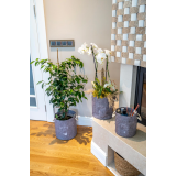 Kulplu Yuvarlak Düzenleyici Çok Amaçlı Kolay Taşınabilen Organizer Keçe Sepet (maxi) 03655 Kulplu Yuvarlak Düzenleyici Çok Amaçlı Kolay Taşınabilen Organizer Keçe Sepet (maxi) 03655