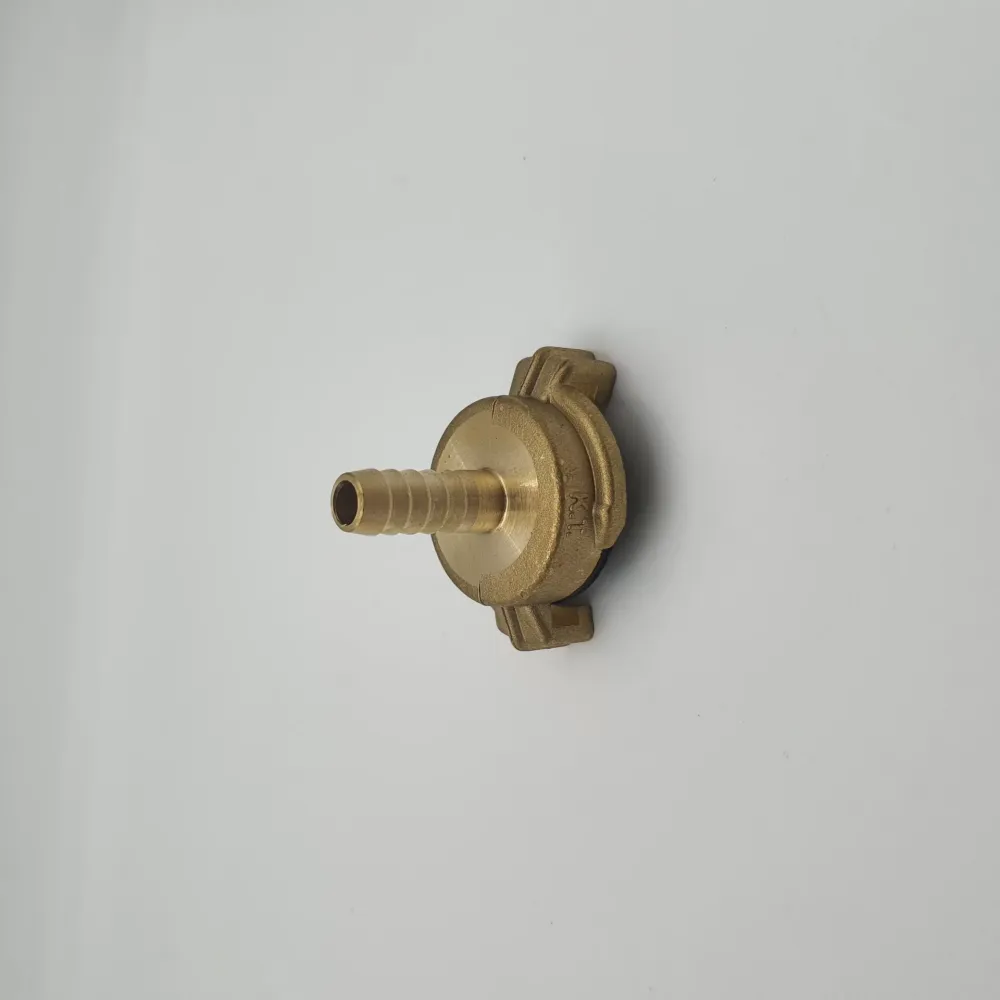 10 MM TIRNAKLI HORTUM REKORU (Lisinya)