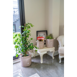 Kulplu Yuvarlak Düzenleyici Çok Amaçlı Kolay Taşınabilen Organizer Keçe Sepet (maxi) 03655 Kulplu Yuvarlak Düzenleyici Çok Amaçlı Kolay Taşınabilen Organizer Keçe Sepet (maxi) 03655