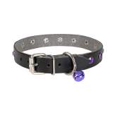 Taşlı Kedi ve Yavru Köpek Tasması 1*23 cm Mavi Medium