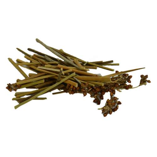 Kayışkıran Otu Doğal 100 Gr Paket Kayışkıran Otu Doğal 100 Gr Paket