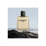 Burberry Hero EDT 100 ml Natural Spray Erkek Parfümü Burberry Hero EDT 100 ml Natural Spray Erkek Parfümü