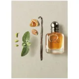 Emporio Armani Stronger With You EDT 100 ml Erkek Parfüm Emporio Armani Stronger With You EDT 100 ml Erkek Parfüm